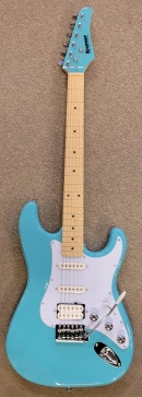 Elgitarrer - First Music - Musikaffär i Eskilstuna, instrument 